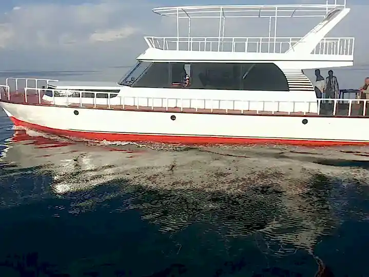 Van Gölü Tekne Turu ve Evlenme Teklifi